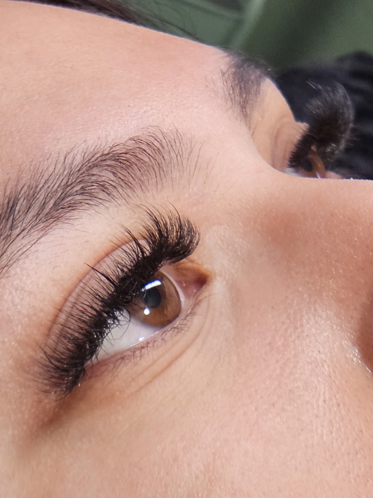 Hybrid Or Volume Lash Extensions