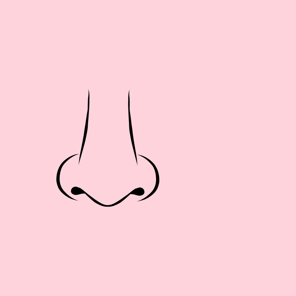 Nose at Celia’s Waxing Studio in Wood Village, OR