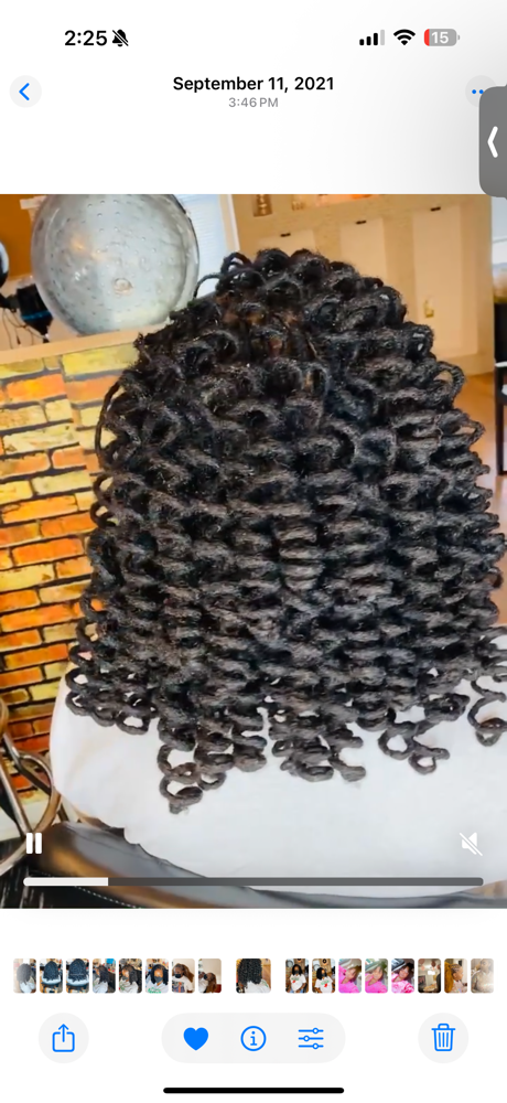 Adult Loc Maintenance + Curls