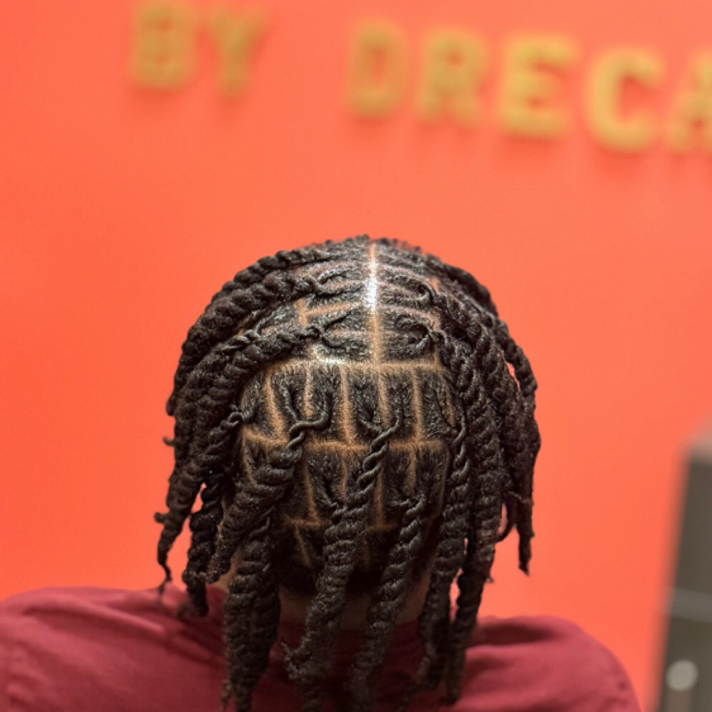 The Natural HairArtistry Experience at Rasta Locs By Dreca LLC in Tampa, FL