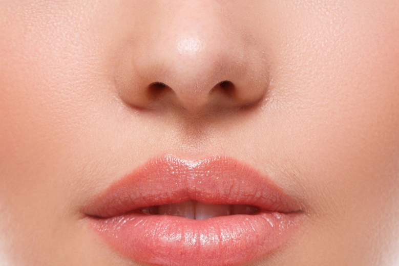 Upper Lip