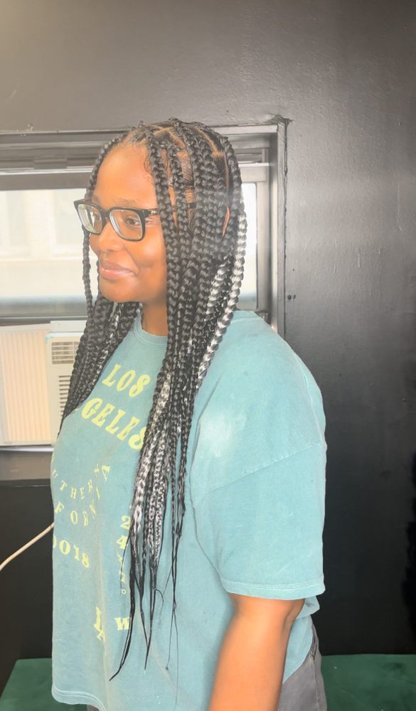 Highlights(knotless,twist Or Locs)