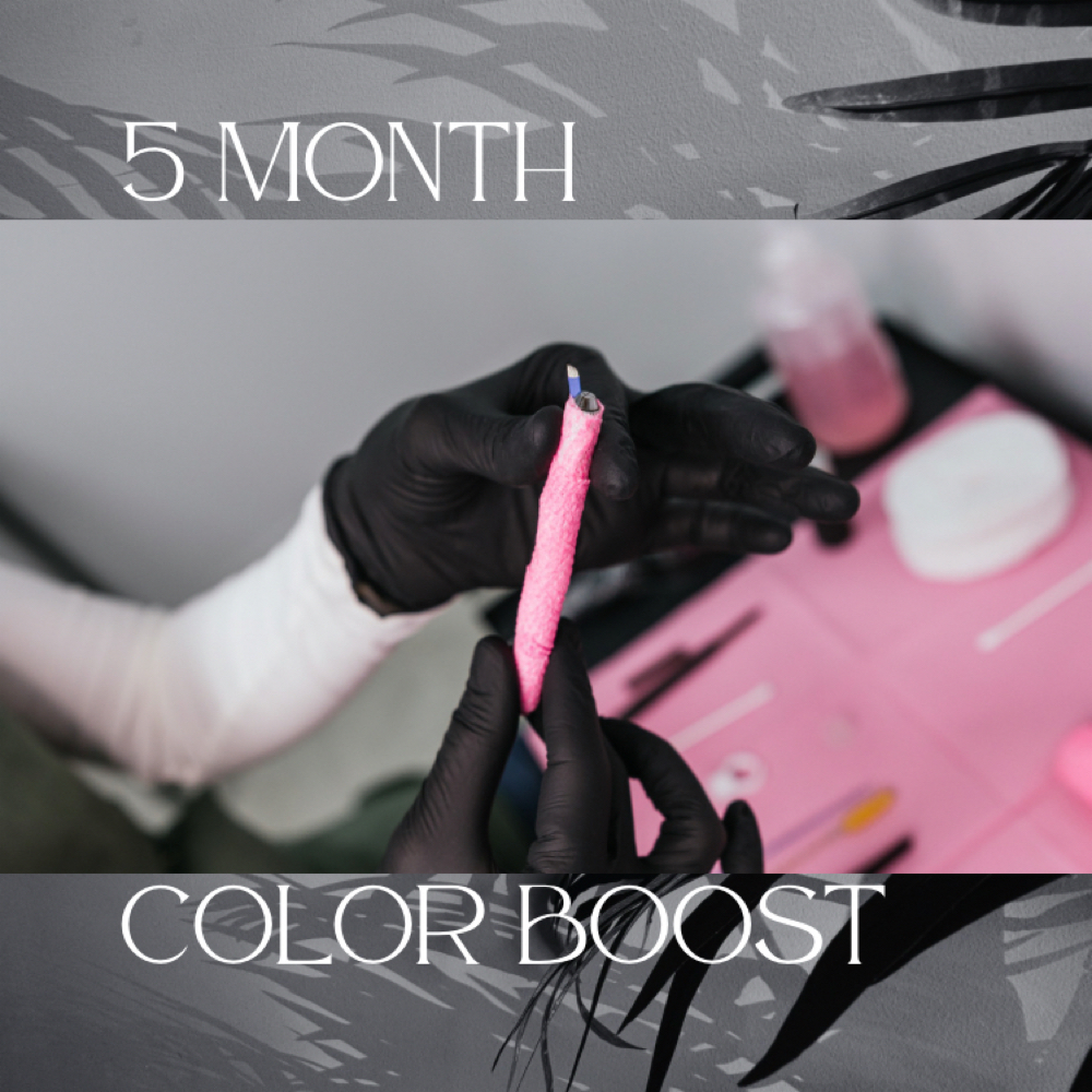 5 Month Color Boost at Craft Brow Microblade Academy in Murfreesboro, TN