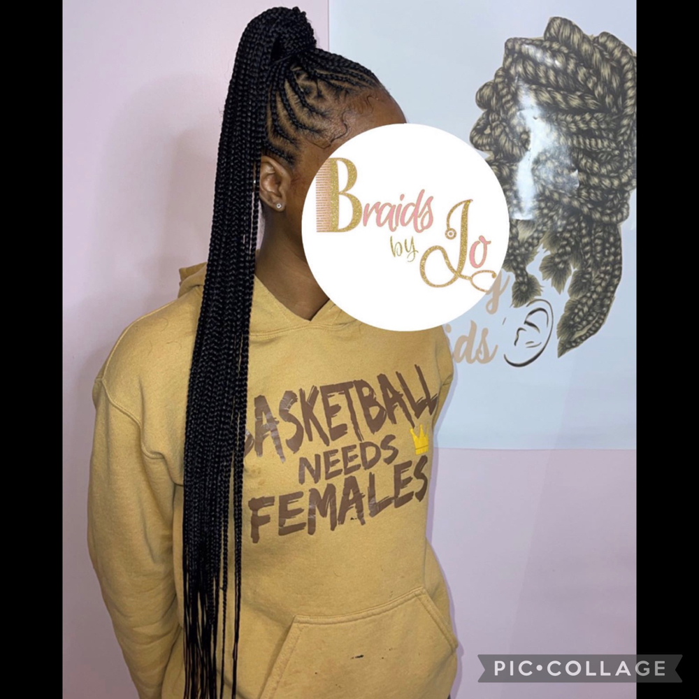 Small Braided Ponytail or Lemonades