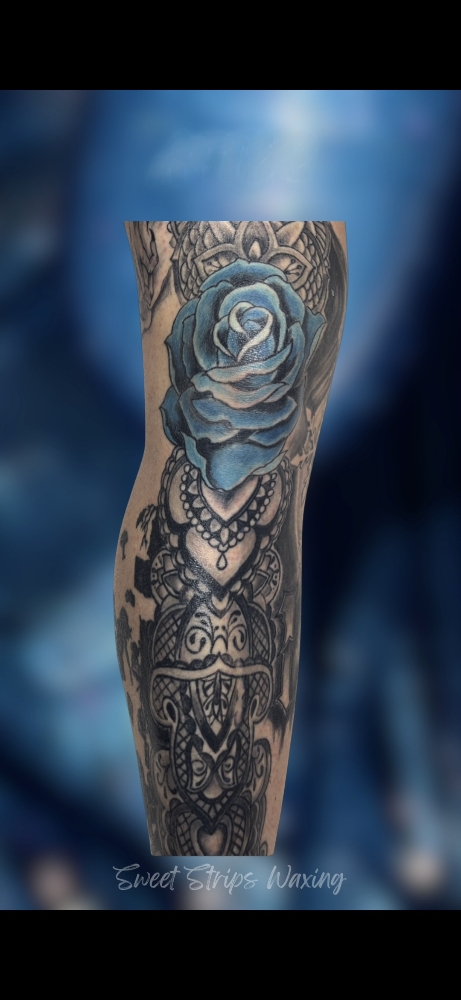 Full Leg