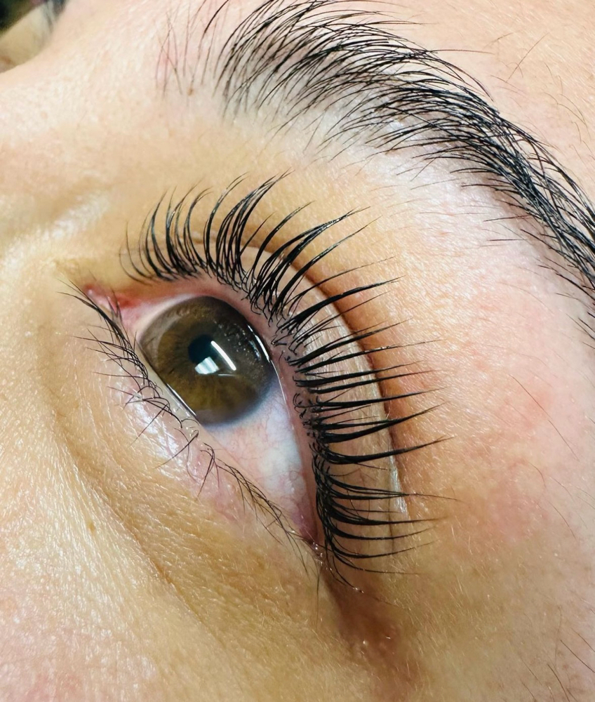 Lash Lift/tint