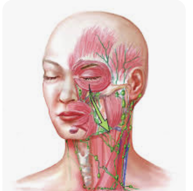 Facial-Lymphatic Drainage