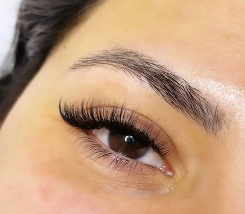 FILL: Volume Lashes