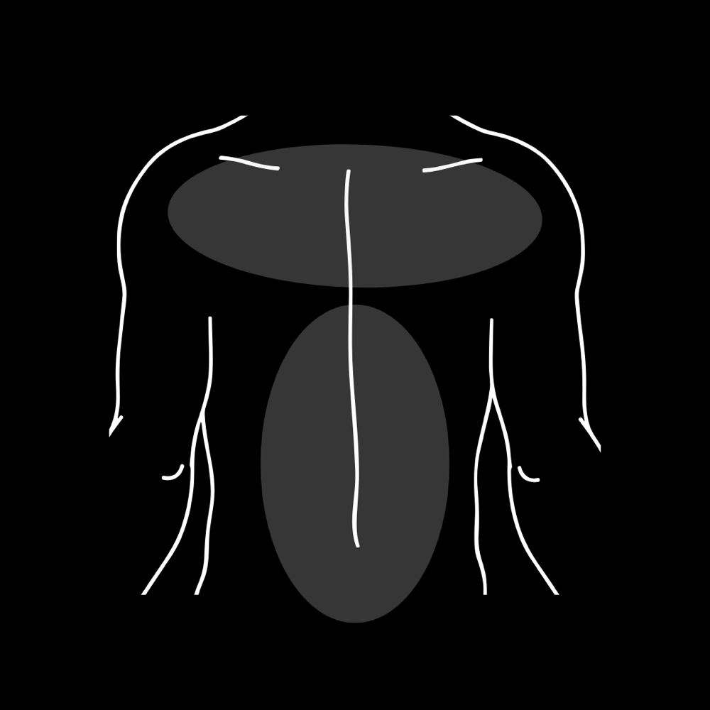 Full Back