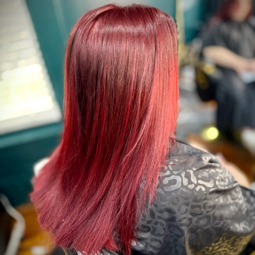 All Over Color (single Color) at Poppy & Mane Hair Studio w/Hair By SarahJayyy in Texas City, TX