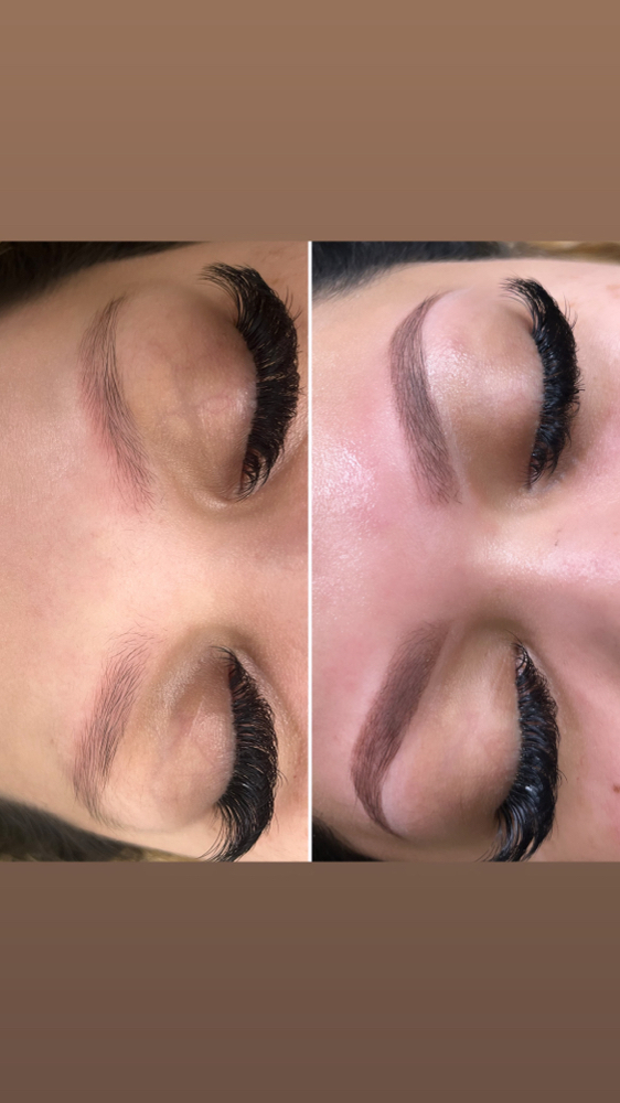 Hybrid Brow Map/Wax/Tint at Sandra Quinones in Montgomery, IL