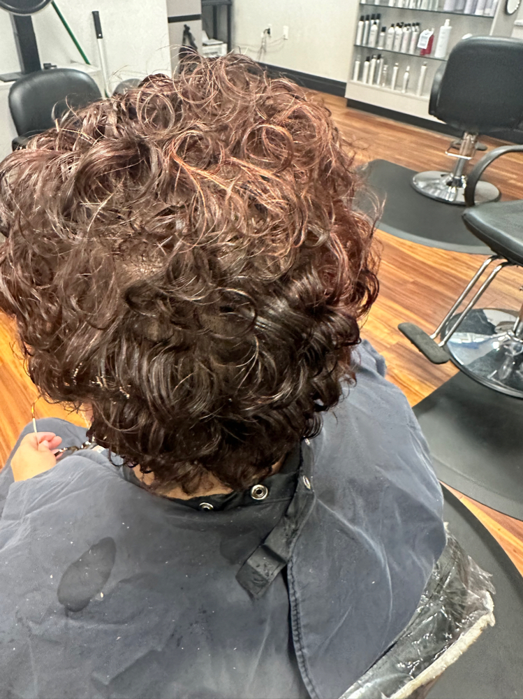 Color Rinse/Basic Style