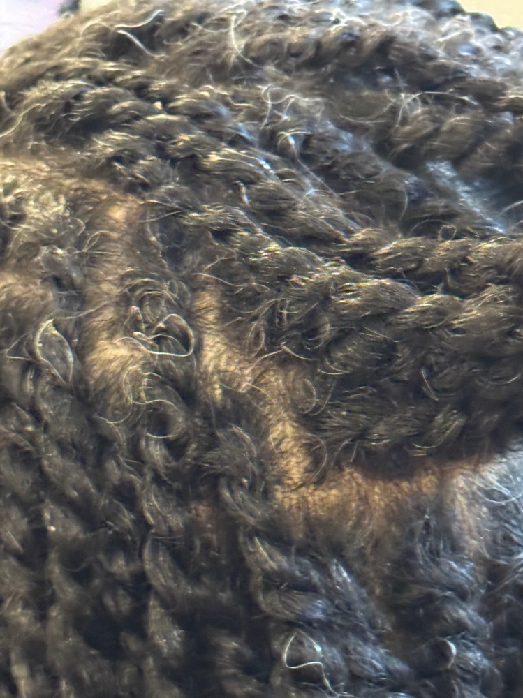 GET TWisted! (2 Strands FREE HAIR)