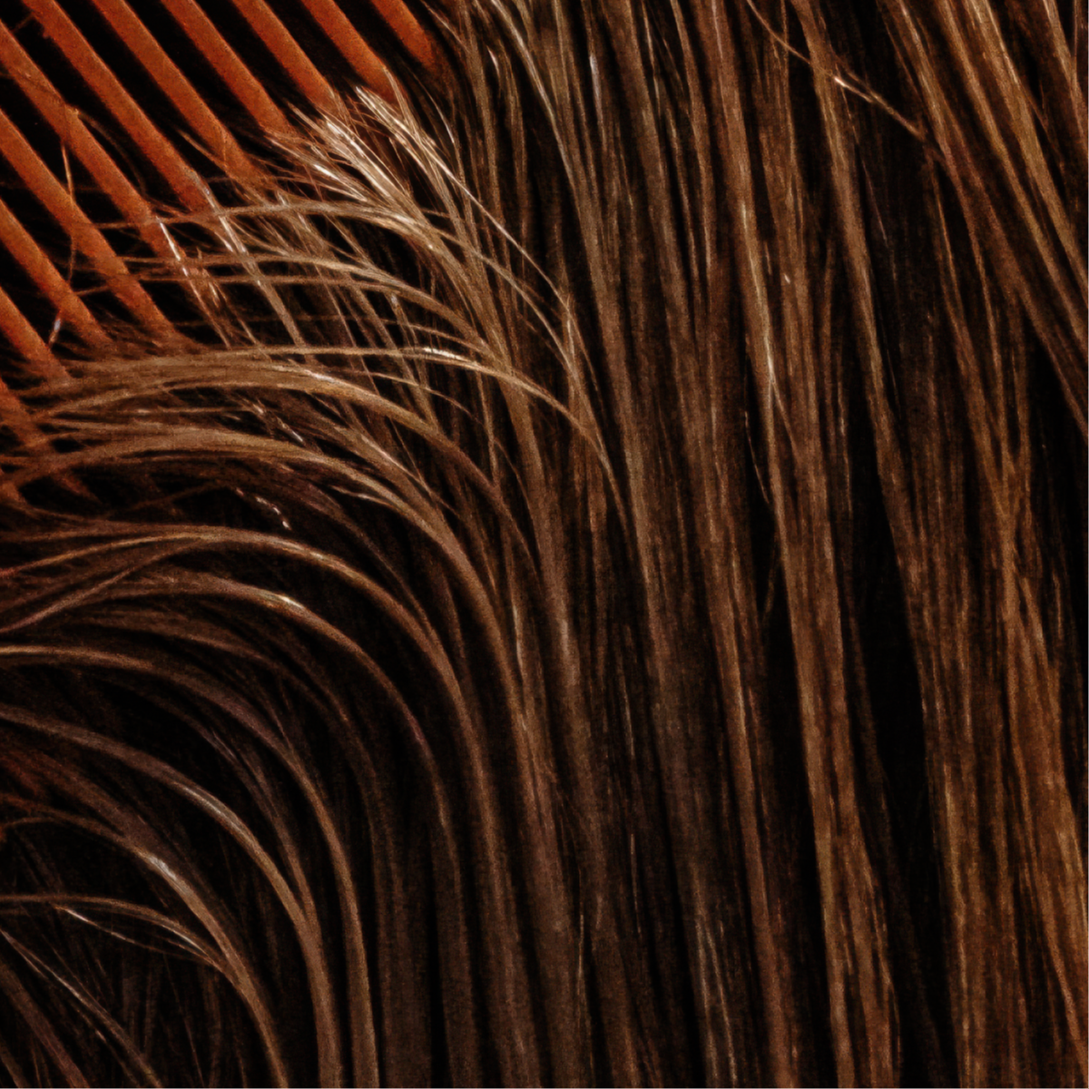 Cut and Gloss at EARTHEN BEAUTY in New York, NY