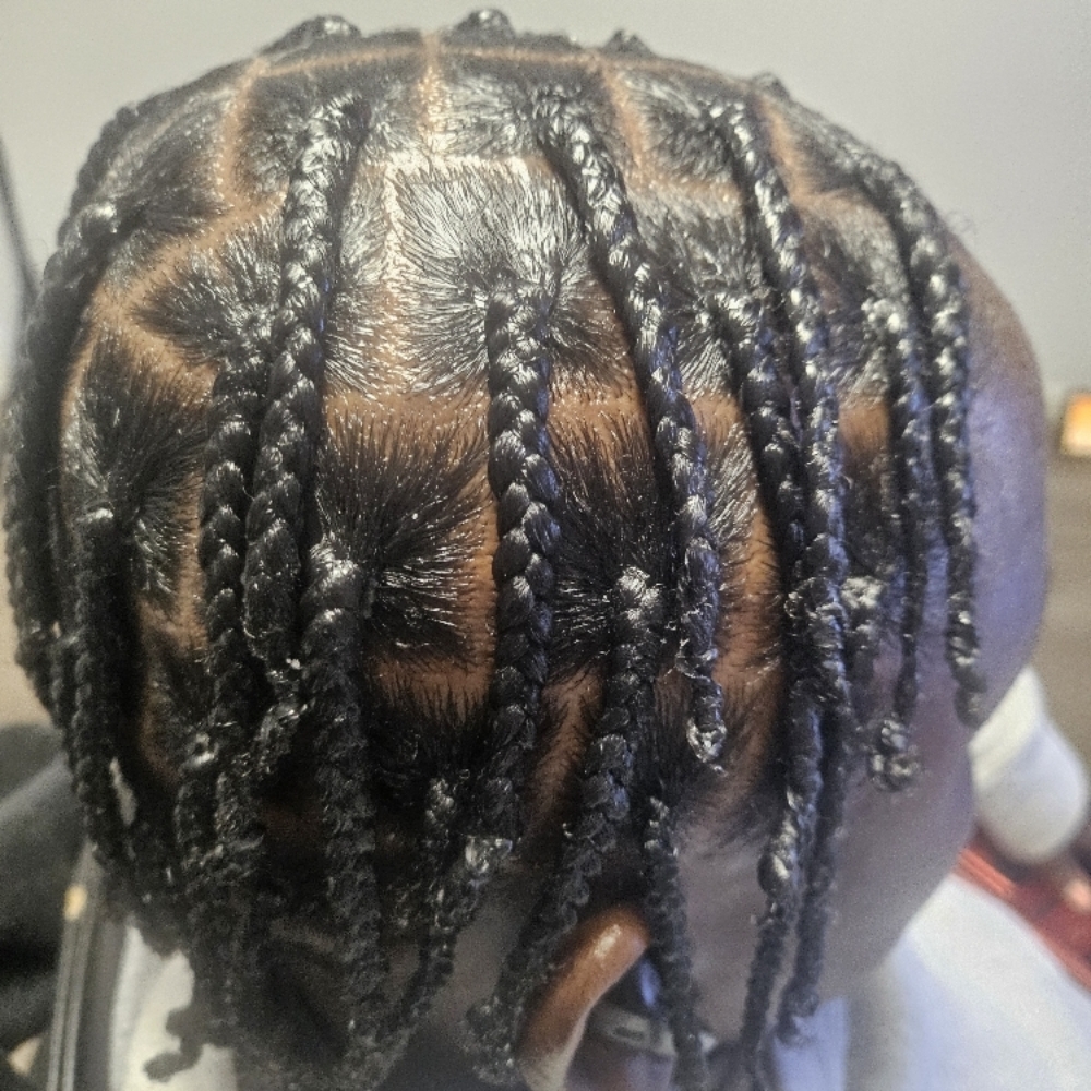 Plait Braids at Braidz Etc in Phoenix, AZ
