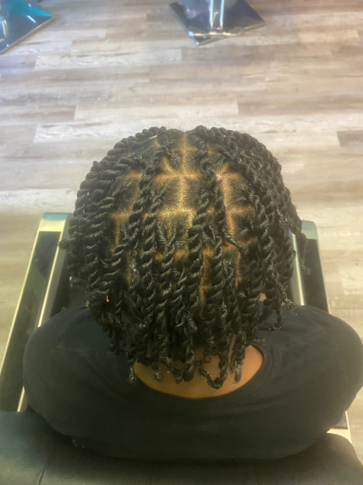 Two Strand Twist Retwist