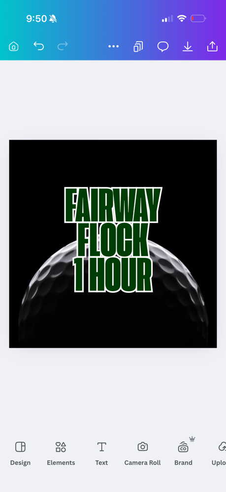 Fairway Flock 1 HR (up to 8)