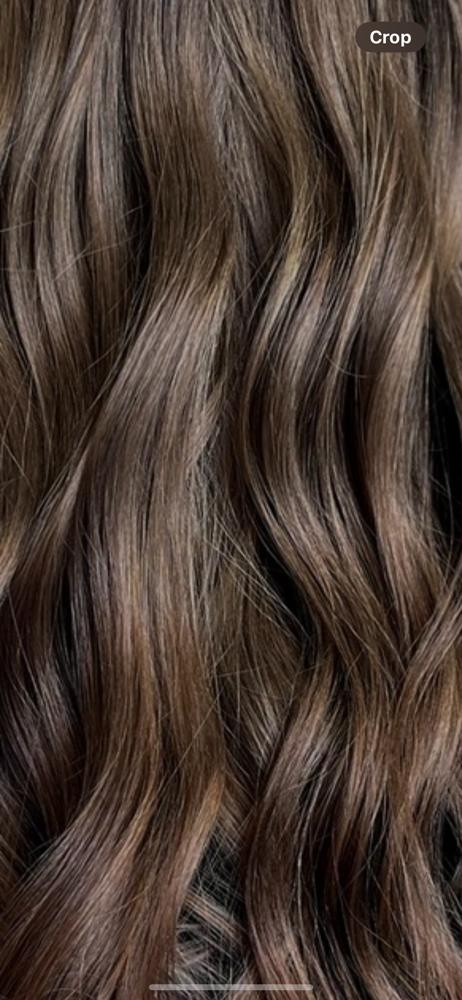 The Signature Cut