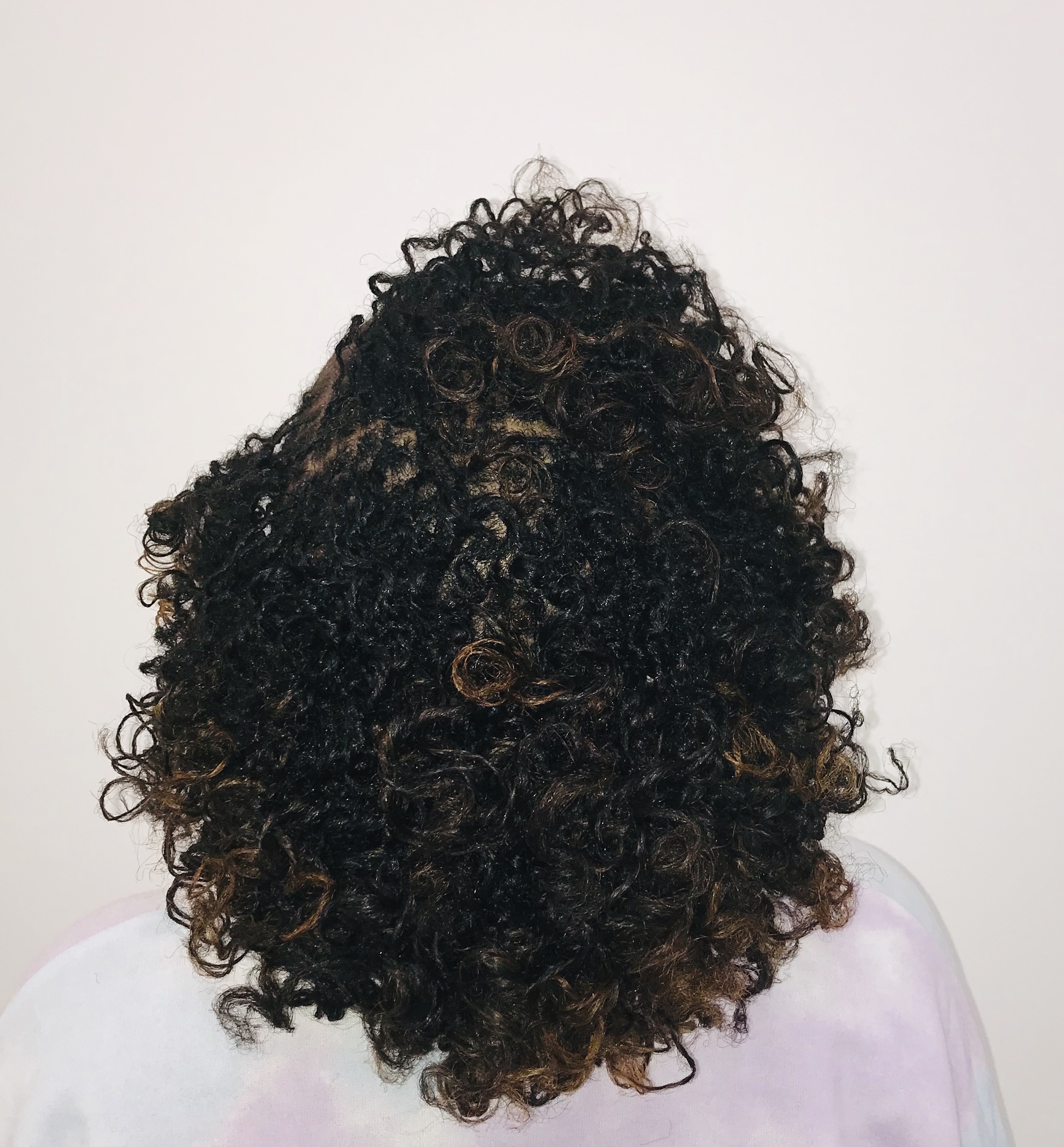 Foxxy Locs/Micro Locs at Toi Foxx Hair Studio in Raleigh, NC