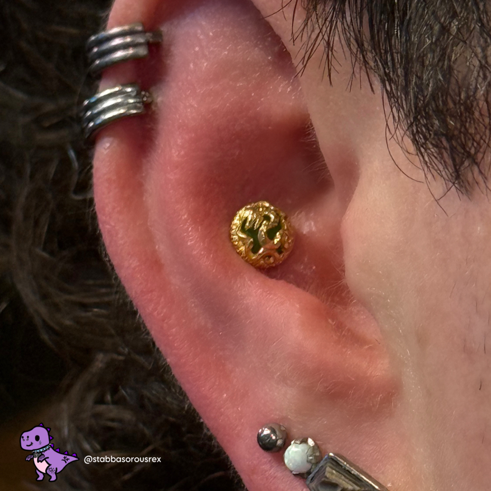 Conch