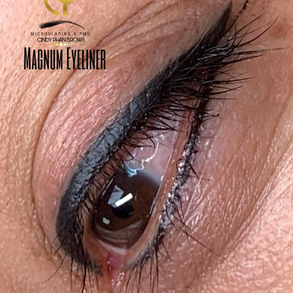 Eyeliner Top&Bottom 50% off W/ Lisa at Cindy Phan Brows in Brandon, FL