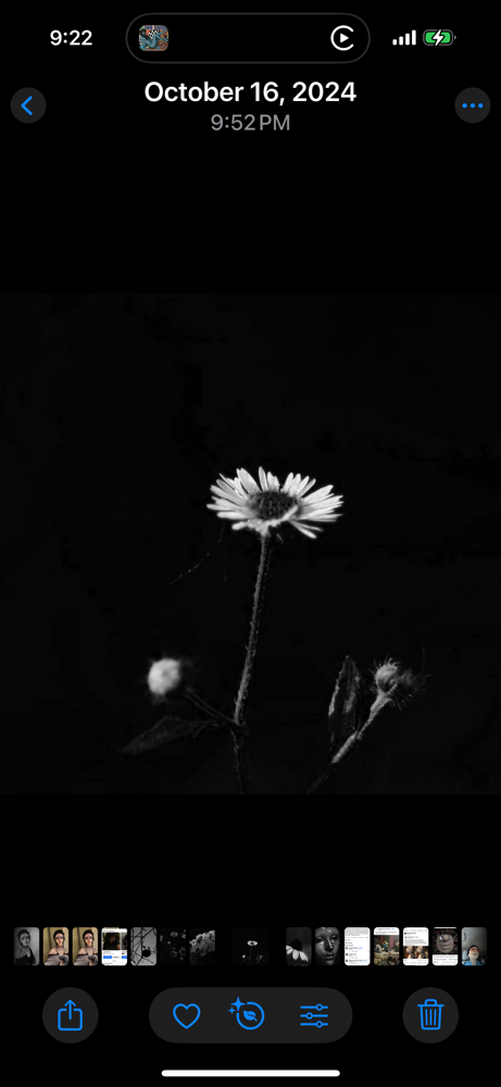 New Client Transformation