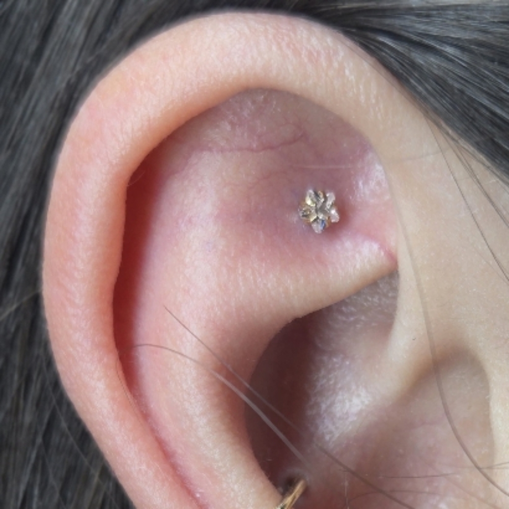 Faux Rook Piercing at Gilded Needle in BRENTWOOD, CA