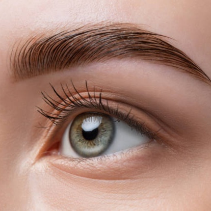 Brow Tint at Heavenly Skin Care in Franklin, NH