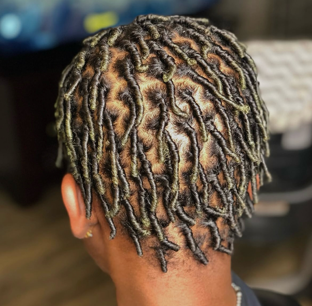 Starter Locs /Starters