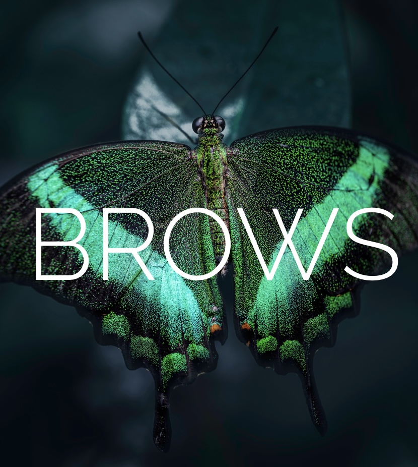 Brow Wax - Shaping Or Clean Up