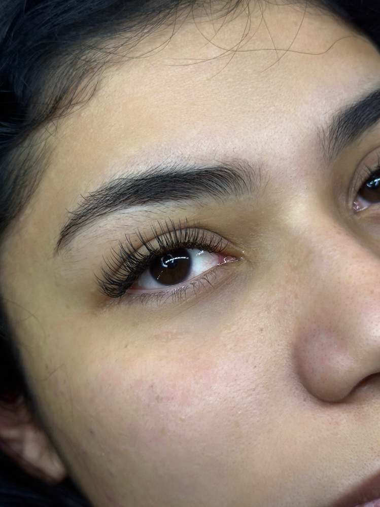 Classic Lashes