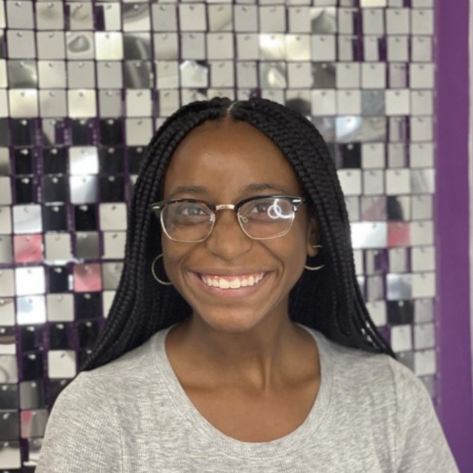 Medium Box Braids at Picturesque Hair in Pittsburgh, PA