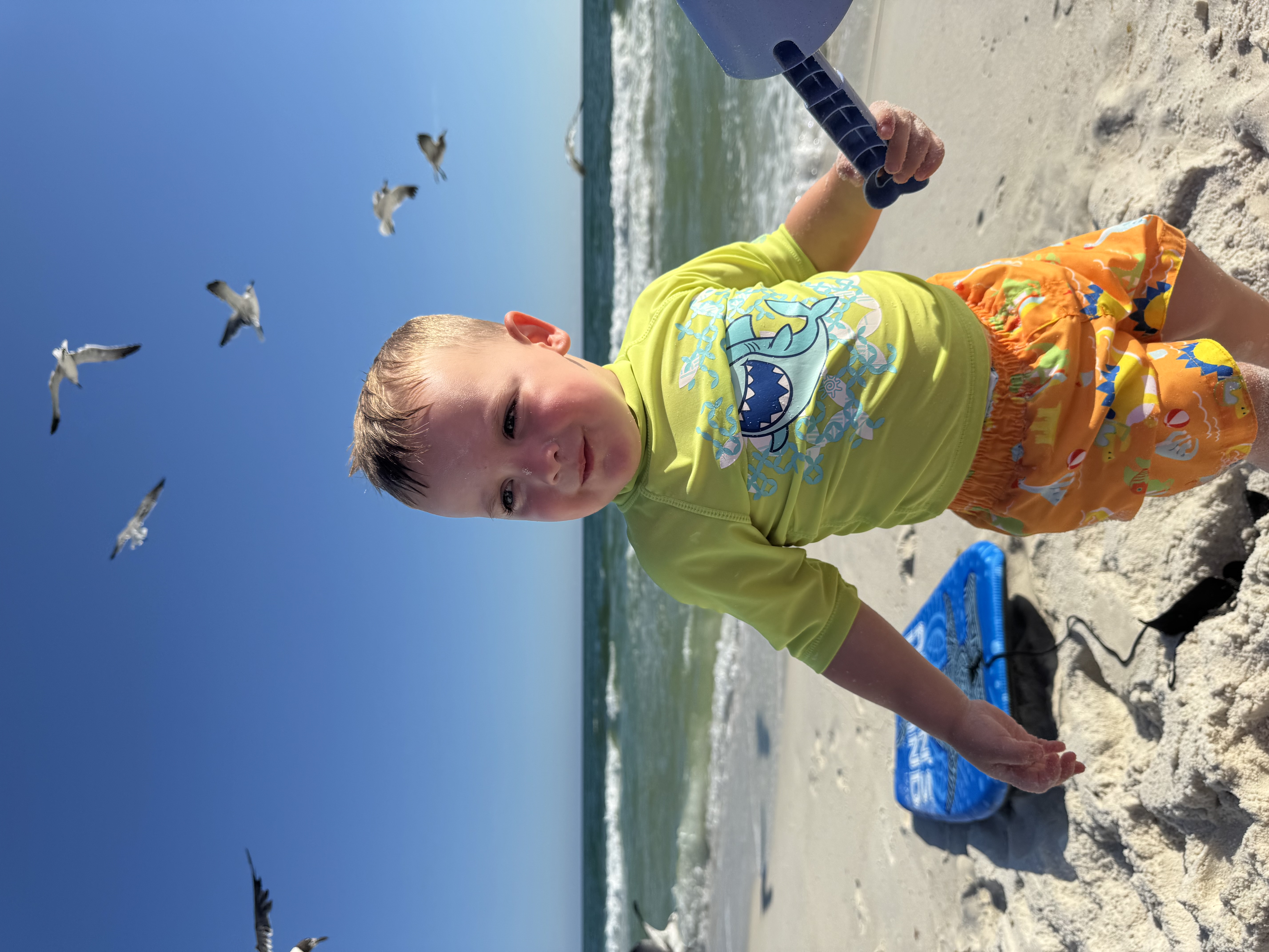 Kids Cut- 12 & Under