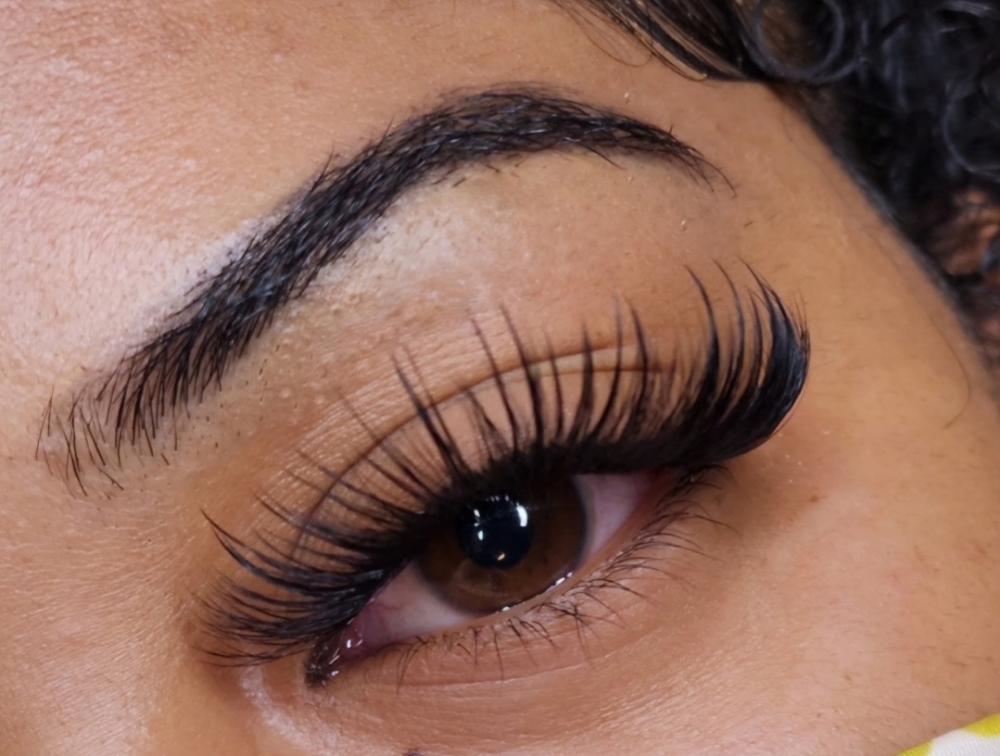 Hybrid Lash Fill
