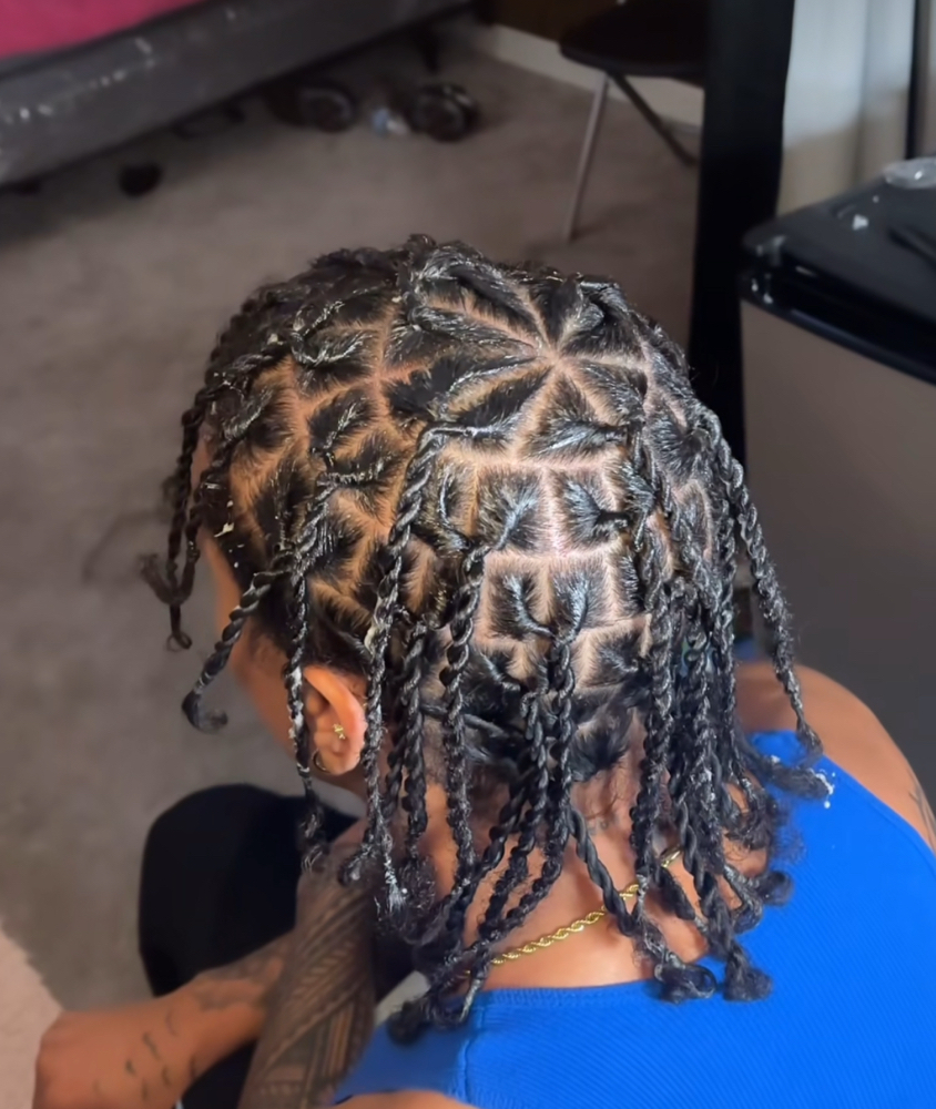 Two Strand Twist (Men)