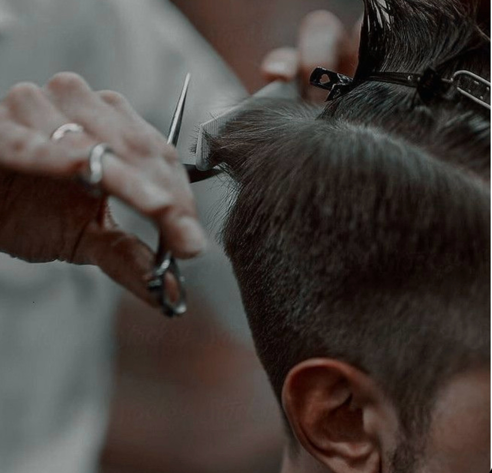 Shape Up