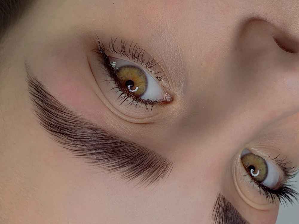 LAMINATION OF EYEBROWS WITH COLORIN