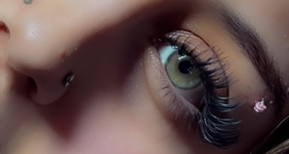 B.O.E Wet Set Lashes(SPECIAL)