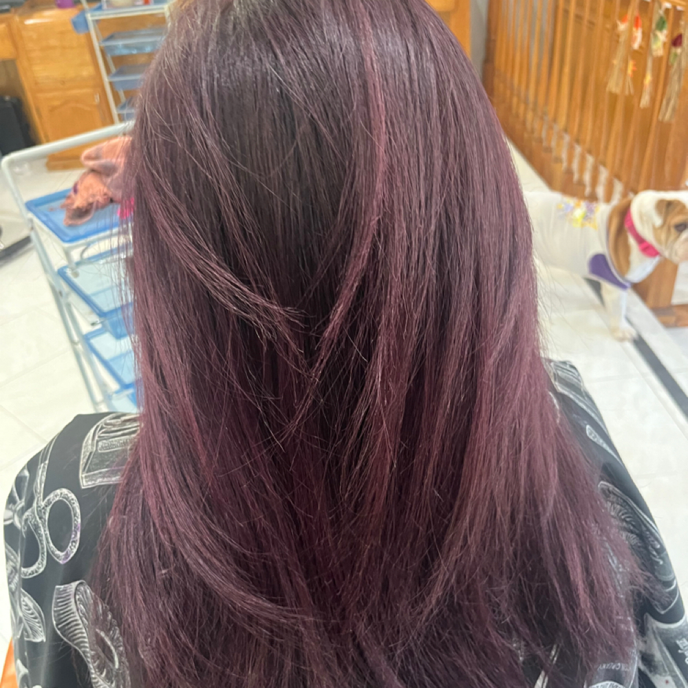 All Over Single Color at The Hair Bar 2 (HB2) in Weslaco, TX