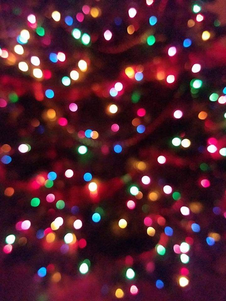 ✨December Special ✨