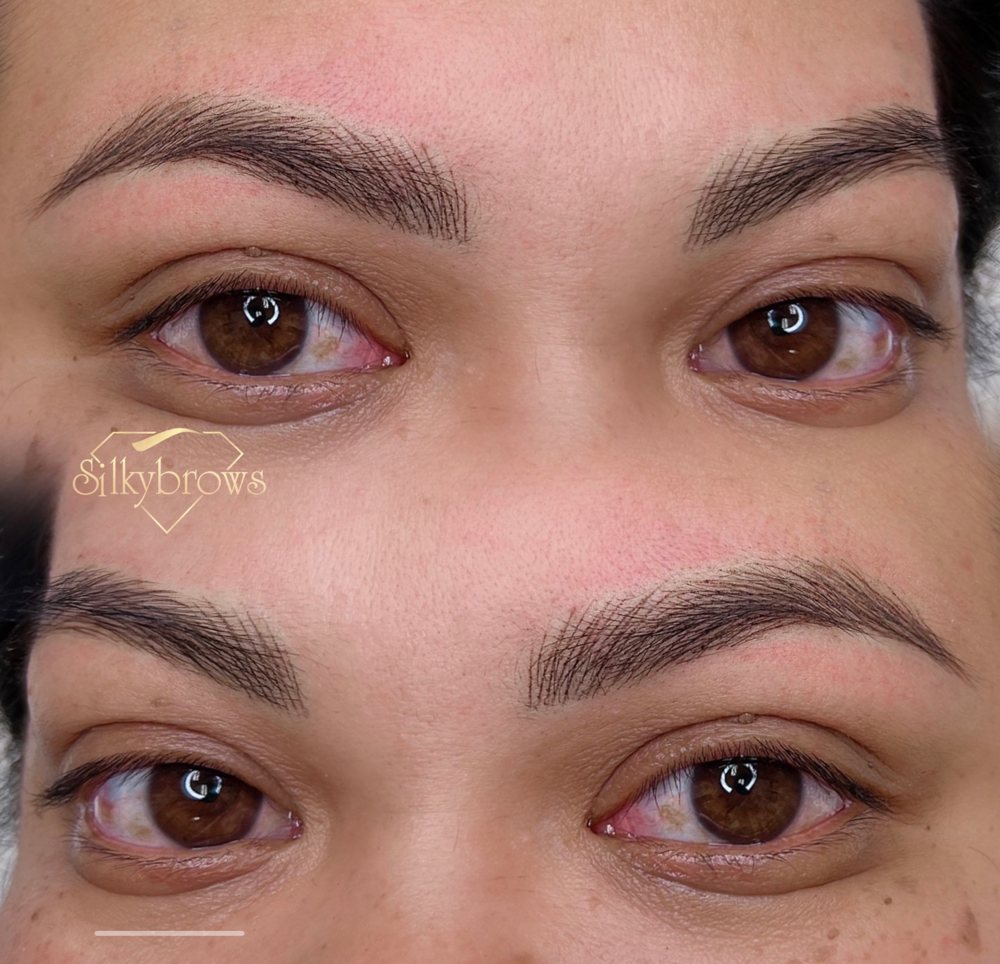 nano-hairstrokes Brows