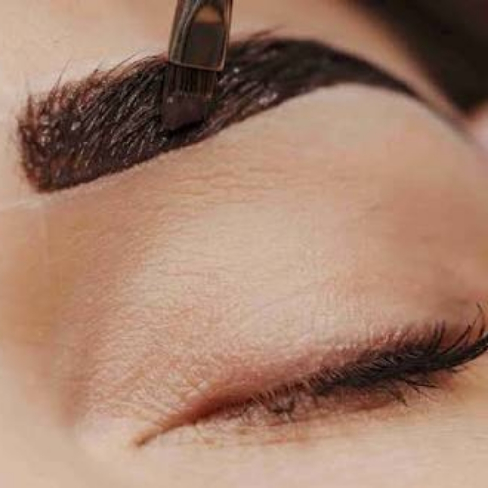 Brow Tinting + Wax (16+) at Noel Louise Beauty llc in Mishawaka, IN
