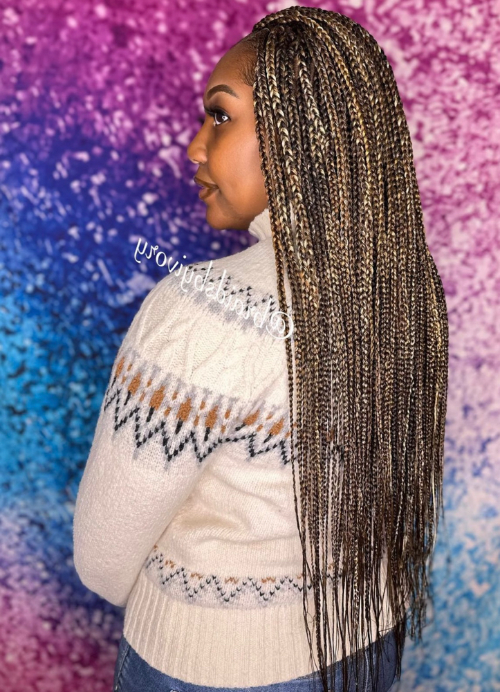 Sleek Box Braids(waist-length)