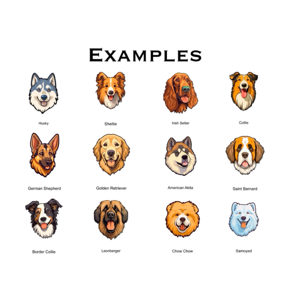 Large Groom (2nd Dog) at Houndstooth Grooming in Joliet, IL