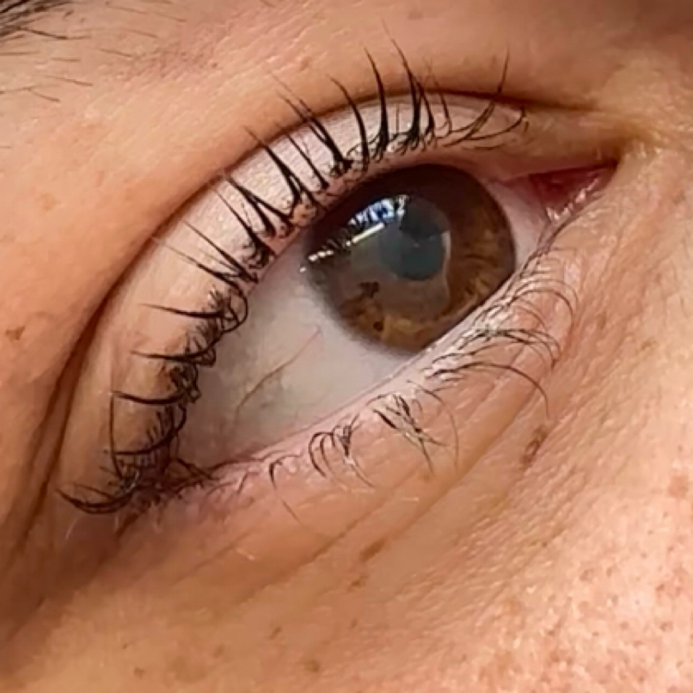 Korean Lash Lift at Skin Academy in New Bedford, MA