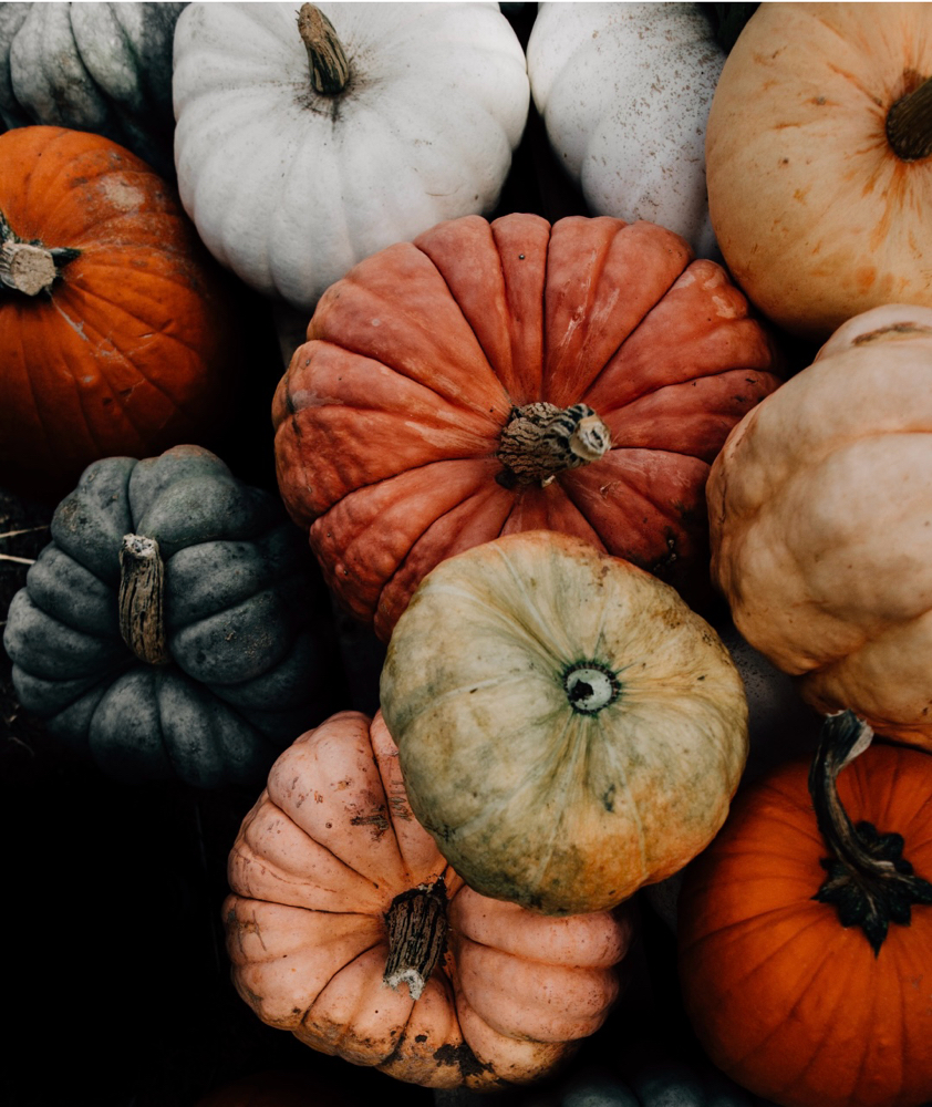 Fall Pumpkin Enzyme Facial