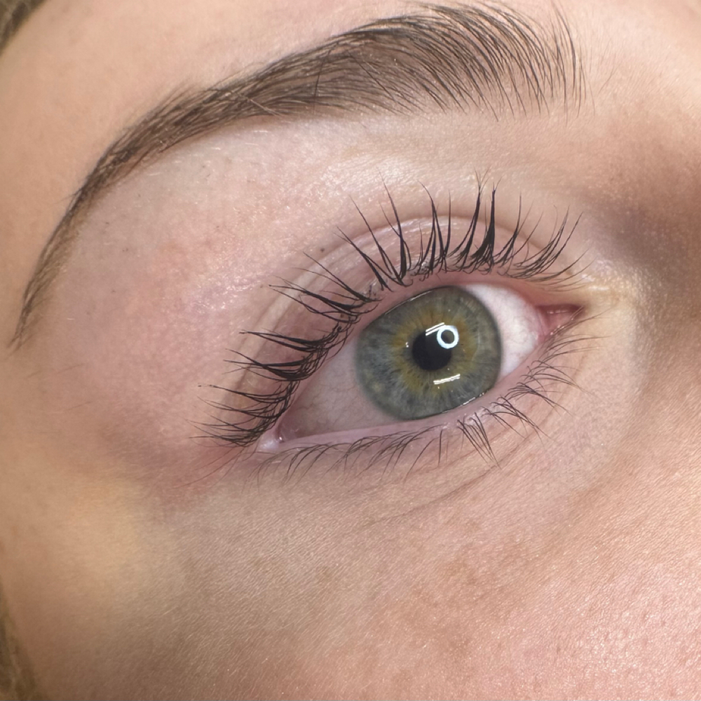 Lash Lift & Tint at Rooted Harmony Salon & Spa in Lexington, SC