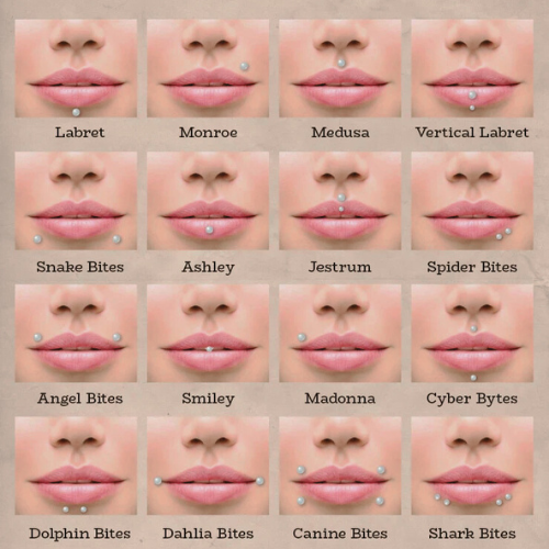 Lip