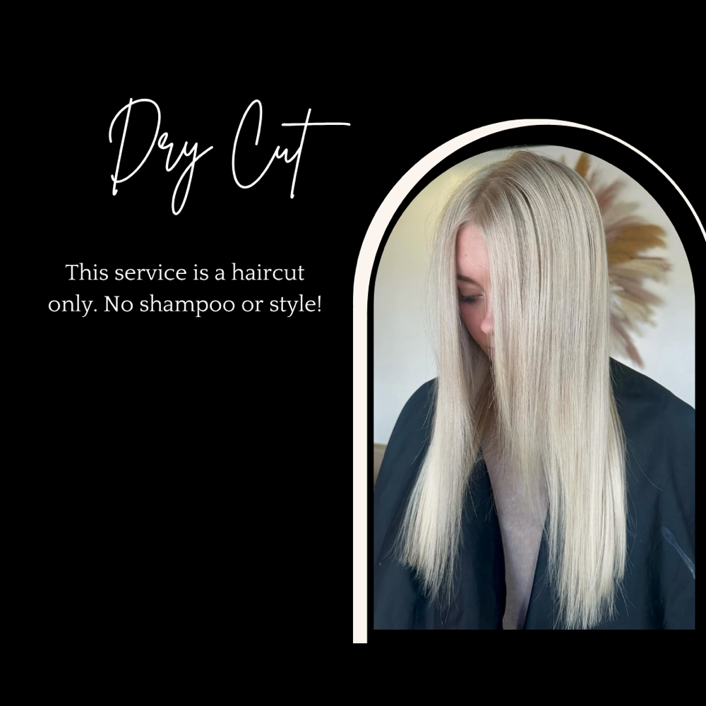 dry cut at Salon Twenty-Seven in Jonesboro, AR
