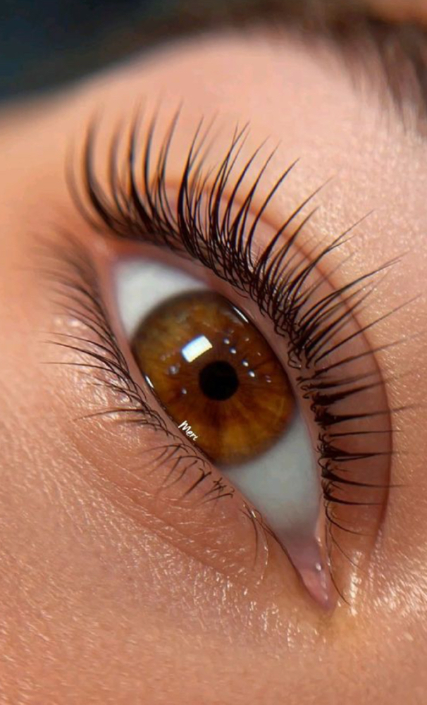 Lash Lift + Tint at Brow Babe Of NY by Tara in Staten Island, NY